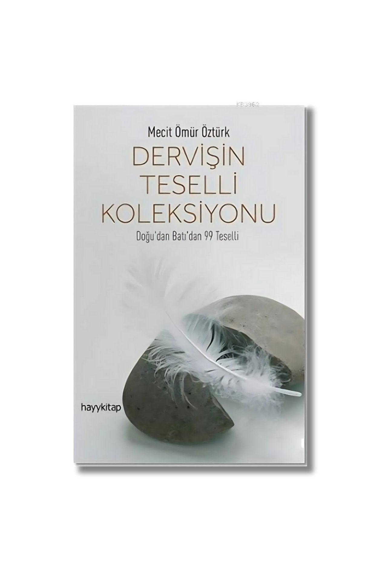 Dervişin Teselli Koleksiyonu: Doğu'dan Batı'dan 99 Teselli (Turkish Edition) cover image